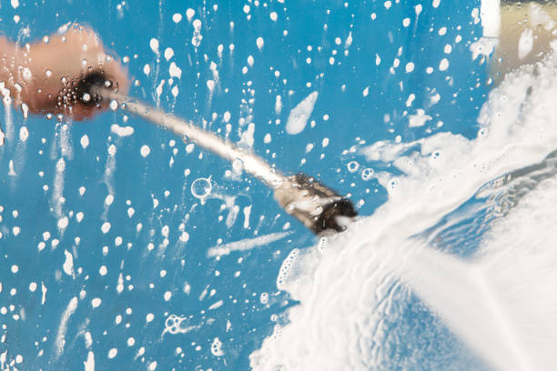 Best Soft Washing  in Bushnell, IL