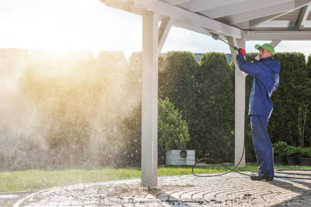 Best Building Exterior Washing  in Bushnell, IL