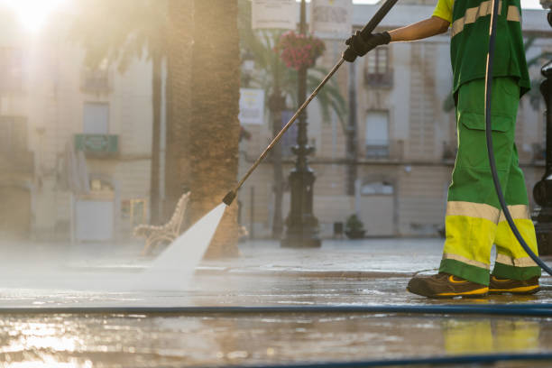 Best Fleet Vehicle Washing  in Bushnell, IL